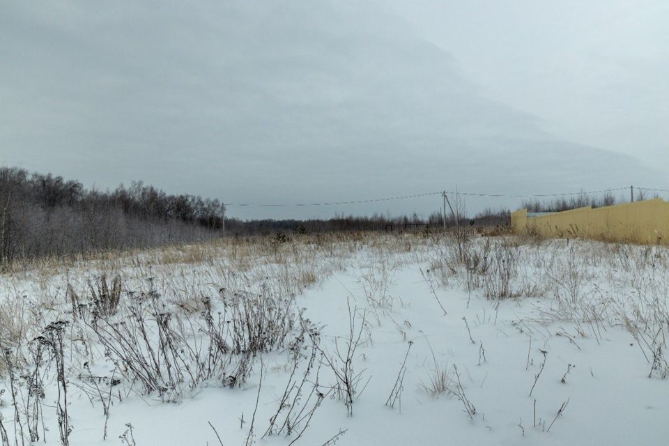 земля р-н Богородский деревня Санниково фото 4