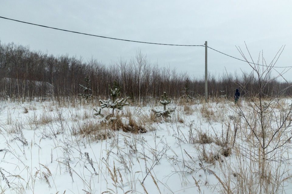 земля р-н Богородский деревня Санниково фото 3