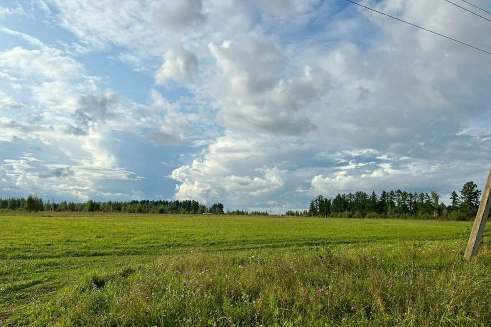 земля р-н Ясногорский посёлок Есуковский фото 2