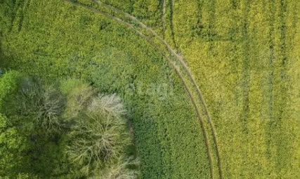 земля р-н Пермский п Красный Восход ул Садовая фото 4