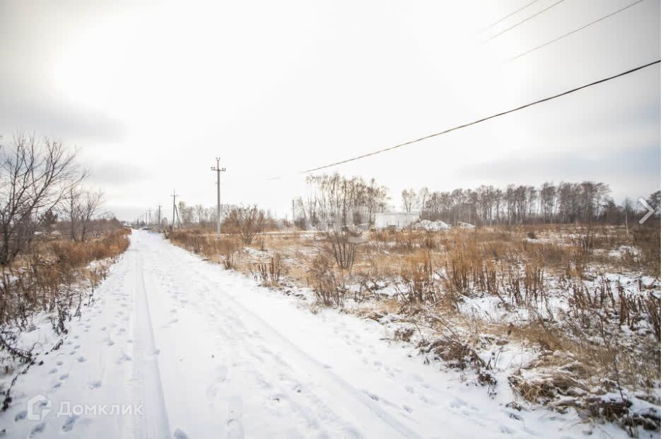 земля г Бердск городской округ Бердск, ТЛПХ Любавино фото 3