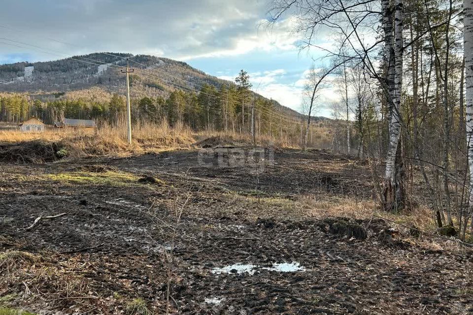 земля р-н Майминский с Озерное ул Центральная фото 3