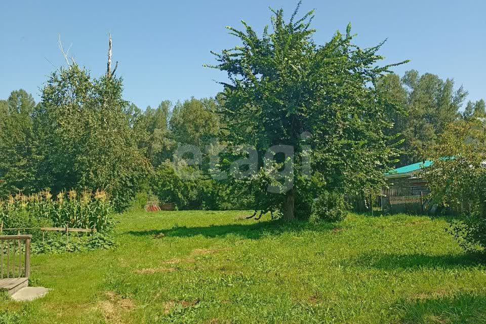 земля р-н Алтайский село Ая фото 1