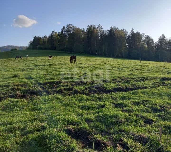 земля р-н Майминский село Александровка фото 1