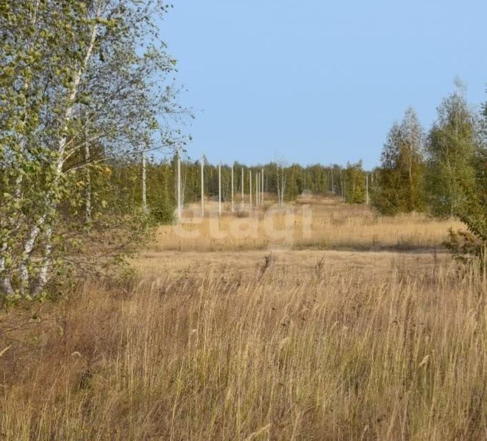 земля городской округ Нижний Тагил, посёлок Уралец фото 2