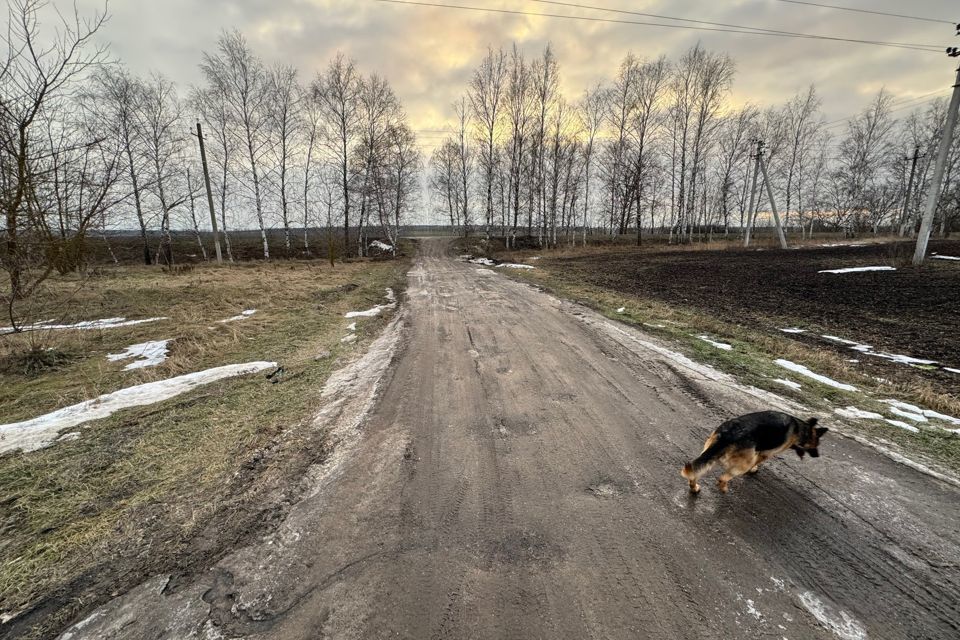 земля р-н Белгородский село Хохлово фото 2