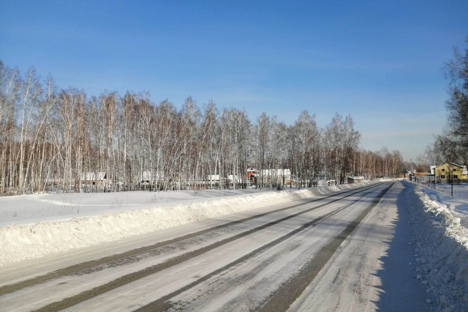 земля р-н Новосибирский с Марусино Радужная улица фото 3