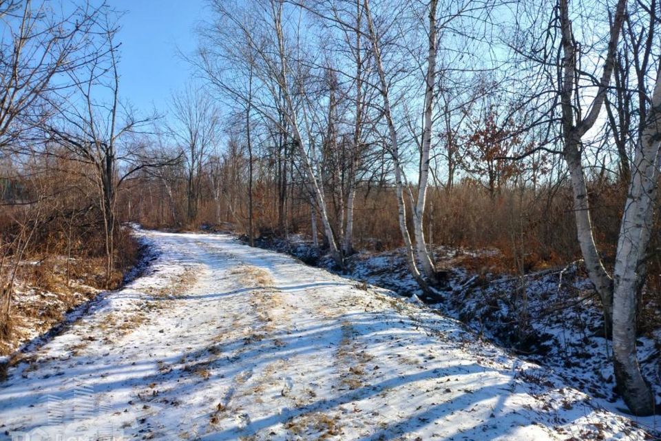 земля г Артем Артёмовский городской округ, территория садоводческого некоммерческого товарищества Глобус фото 4