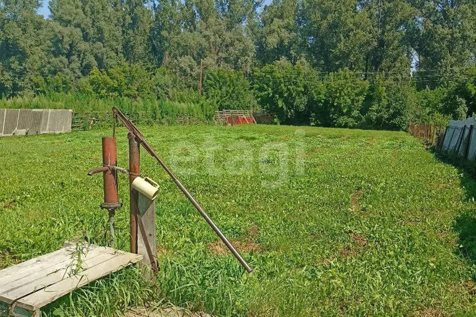 земля р-н Алтайский село Ая фото 4