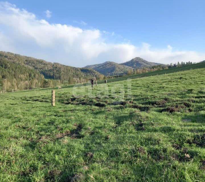 земля р-н Майминский село Александровка фото 3