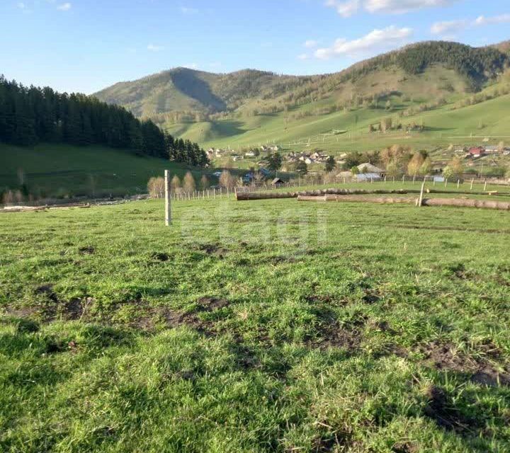 земля р-н Майминский село Александровка фото 2