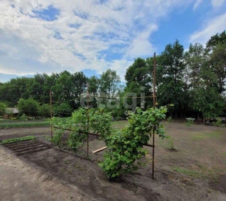 дом р-н Белгородский п Майский ул Привольная фото 5