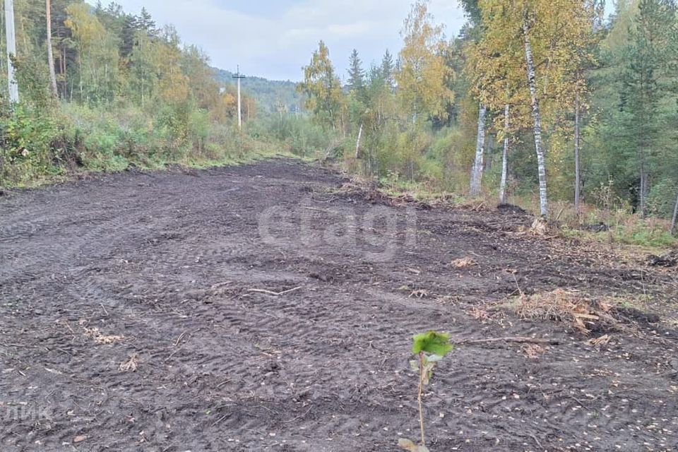 земля р-н Майминский с Озерное ул Центральная фото 5