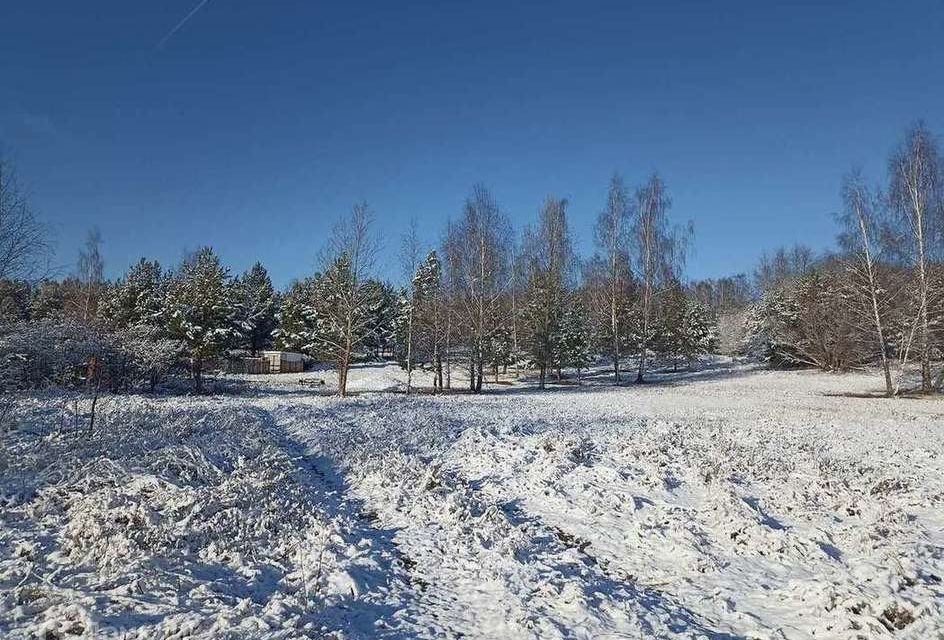 дом р-н Спасский д Ужалье ул Хуторская фото 9