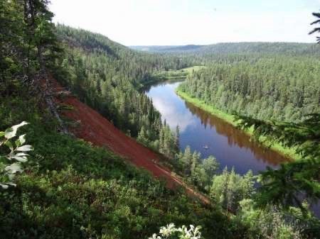 дом р-н Мезенский д Сояна ул Колхозная фото 6