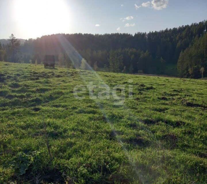 земля р-н Майминский село Александровка фото 5