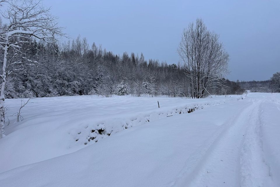 дом р-н Маловишерский деревня Некрасово фото 10