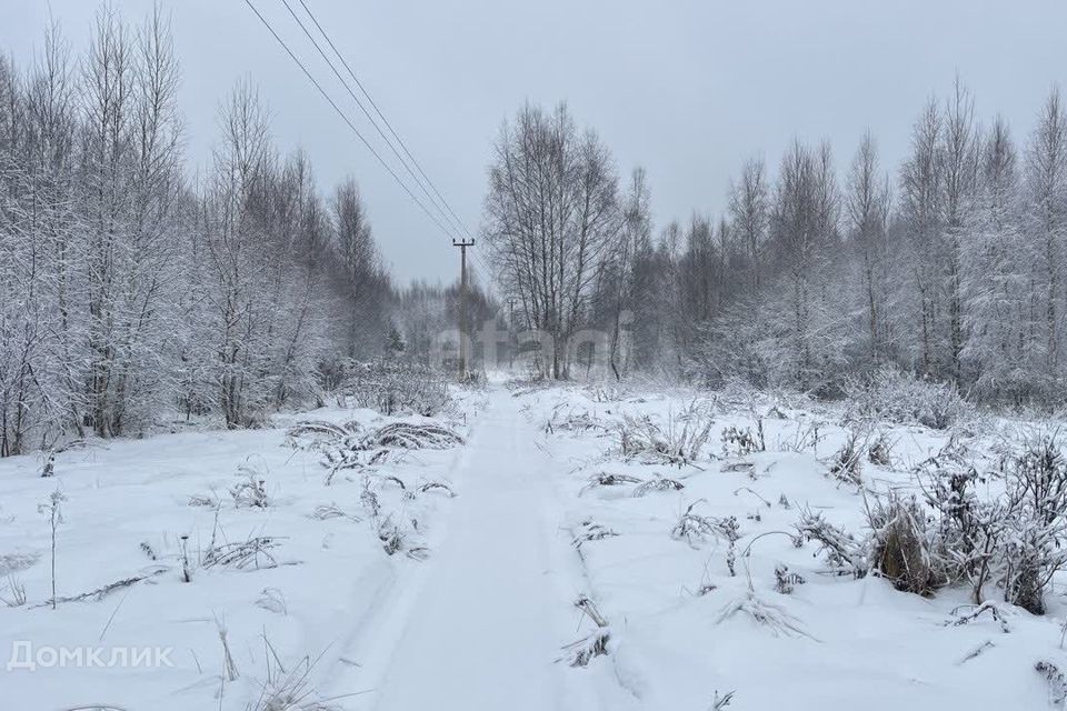 земля р-н Ярославский д Ляпино снт Росток 2 фото 6