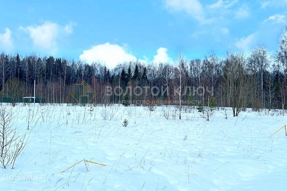 земля городской округ Талдомский деревня Растовцы фото 3