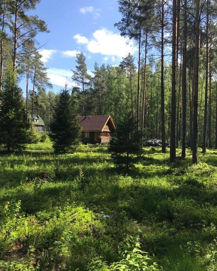 дом р-н Выборгский п Цвелодубово Рощинское городское поселение, Первомайское фото 3