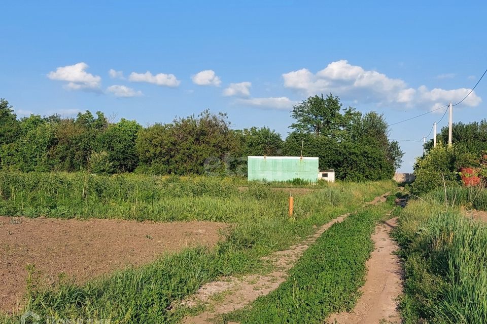 земля р-н Белгородский садоводческое товарищество Кондорово фото 8