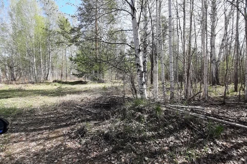 земля г Ревда с Кунгурка городской округ Ревда, Урочище Дегтяные фото 4