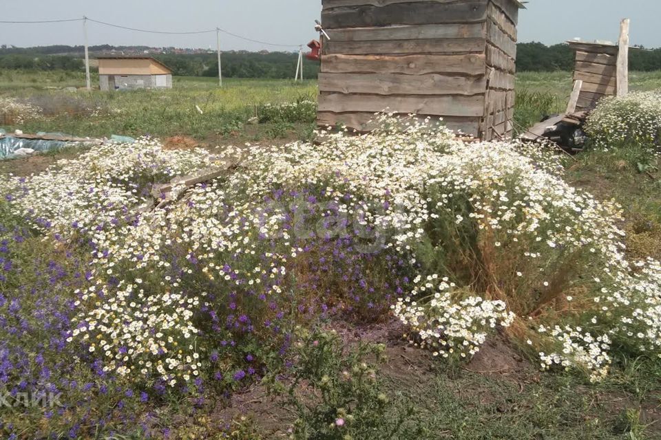 земля р-н Белгородский с Шагаровка улица Буденкова фото 4