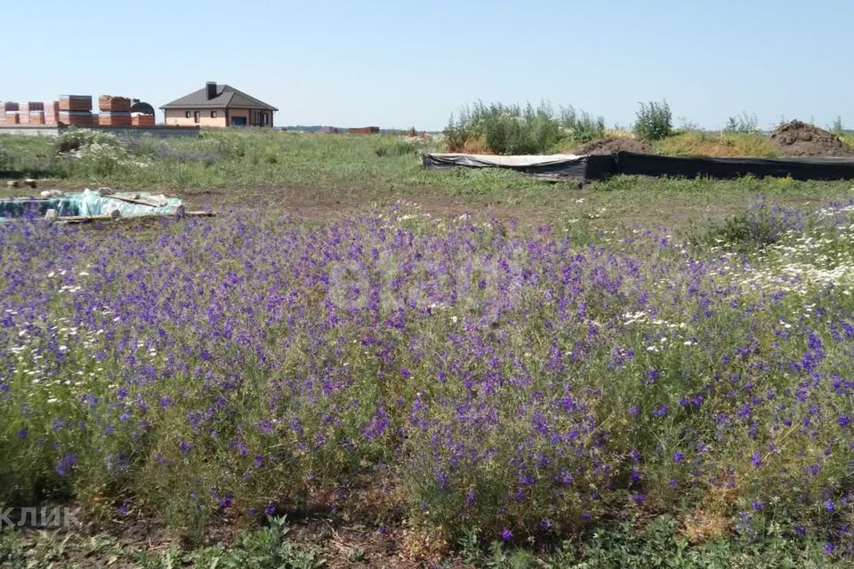 земля р-н Белгородский с Шагаровка улица Буденкова фото 3