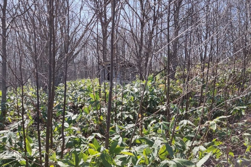 земля г Южно-Сахалинск городской округ Южно-Сахалинск, СДТ Ласточка фото 7