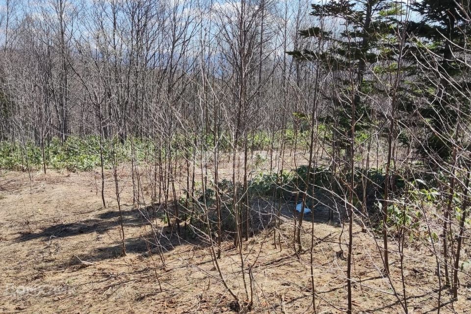 земля г Южно-Сахалинск городской округ Южно-Сахалинск, СДТ Ласточка фото 8